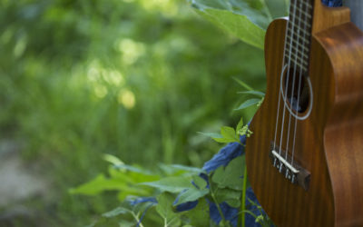 Wieso eigentlich Ukulele?